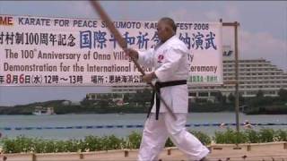 Kata EIKU NO HO  Ryueiryu Kobudo Okinawa [upl. by Eelime147]