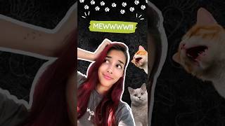 ✅IMITANDO SONIDOS DE GATOS🐱 cat funny sonido funnymoments [upl. by Alyakam]