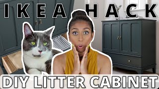 Ikea Lommarp Hack  DIY Litter Cabinet [upl. by Alokin]