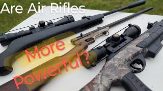 177 VS 22 Air Rifle Penetration Test [upl. by Shreve]