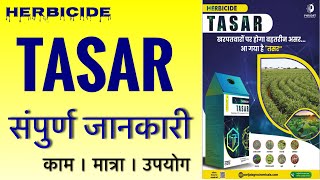 Tasar Herbicide Parijat DOES IT WORK 2024 farming [upl. by Yssac503]