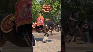 Magnificent Drum Horse Cavalry Sunday 2024 at HYDE PARK london shorts horseguardsparade [upl. by Eocsor]