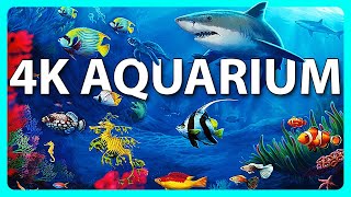 The Best 4K Aquarium for Relaxation 🐠 Relaxing Oceanscapes  Sleep Meditation 4K UHD Screensaver [upl. by Anayi]