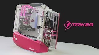 One for the Ladies  Antec STRIKER Build and Review [upl. by Nakeber]