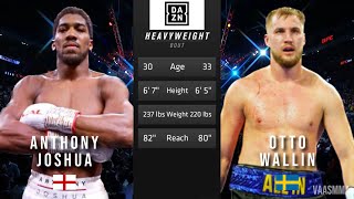 ANTHONY JOSHUA VS OTTO WALLIN FULL FIGHT [upl. by Erena391]