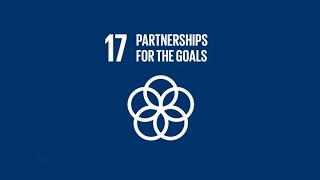 PARTNERSHIPS FOR THE GOALS SDG17 Sustainable Development Goals [upl. by Brawner]