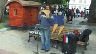 Punta Arenas Chile Heart touching Pan flute player [upl. by Hippel]