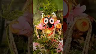 AR shortvideo odia Bhajan song 🙏🙏 Jay jagannath video status ⭕❗⭕ [upl. by Alroy747]