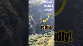 Deadly Nature Shows Its Power [upl. by Pudendas]