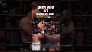 Deontay Wilder’s NASTY KO against Dominic Breazeale boxing [upl. by Tomasine513]