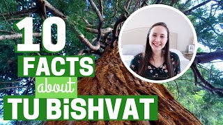 10 FACTS ABOUT TU BISHVAT [upl. by Ayor236]