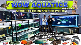 Wow Aquatics Fish Shop Full tour With fish Prices  New shop Grand ReOpening after Renovation [upl. by Locklin41]