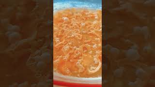 Lactobacillus fermenting Habanero peppers relaxing nature asmr lactofermentation [upl. by Atilamrac]