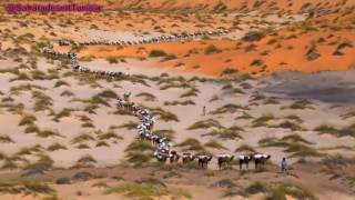 Touareg Music  Sahara desert Music [upl. by Yeldarb]