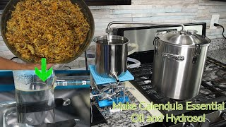 Benefits of Calendula How to Distill Calendula to Make Hydrosol and Essential Oil Calendula Uses [upl. by Kelwen]