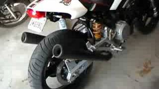 2001 Ducati Monster 600 with DP Conti Replicas [upl. by Ehrsam647]