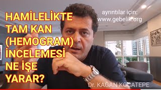 Hamilelikte tam kan sayımı nasıl yorumlanır Hemoglobin lökosit trombosit sayısı [upl. by Erdreid]