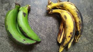 Plantains vs Bananas Unveiling the Tasty Truth [upl. by Liponis158]