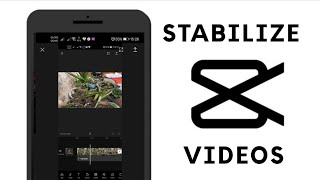 How to Stabilize Videos in CapCut  How to Edit Videos in Capcut Tutorial [upl. by Holladay672]