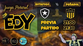 Botafogo vs Peñarol Semifinal ida Copa Libertadores [upl. by Nolrev76]