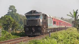 15930 New Tinsukia  Tambaram Express with Siliguri WDP4 20081 sprint at MPS [upl. by Schlenger]