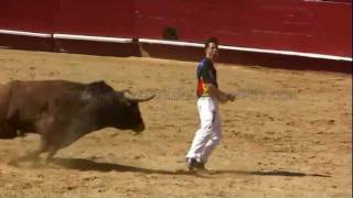 Incredible Spanish Bull Leapers Recortadores [upl. by Sucramej]