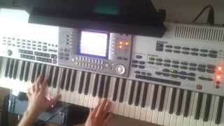 She Makes Me Go  Arash feat Sean Paul Mike Candys Remix  Piano Cover [upl. by Sheply]