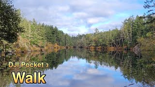 Thetis Lake Park Vancouver Island Walk  Osmo Pocket 3 [upl. by Ling675]