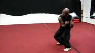 HsingIXingyi Quan Combat kung fu [upl. by Mohamed]