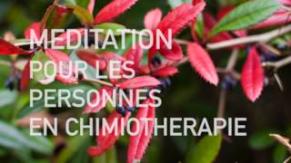 Méditation guidée pour vivre plus paisiblement la chimiothérapie ⟡ Ginkgo [upl. by Namron541]