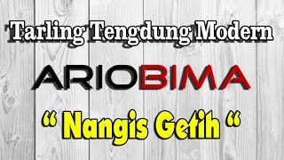 TARLING KLASIK quot NANGIS GETIH quot COVER ArioBima Team Voc Santy Amerra [upl. by Novyad684]