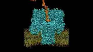 Analyzing DNA with a Bacterial Toxin [upl. by Pena141]