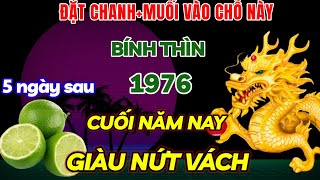 HÉ LỘ BÍ MẬT ĐÚNG 5 THÁNG CUỐI NĂM BÍNH THÌN LÀM NGAY VIỆC NÀY 5 NGÀY SAU NỔ LỘC  GIÀU NỨT VÁCH [upl. by Bork16]