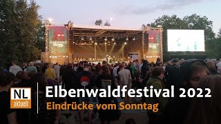 Elbenwald Festival 2022  Sonntag [upl. by Einahc]