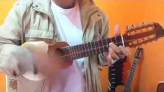 El Jilguero Flores Kjarkas cover charango [upl. by Jessa]