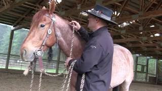 Trek Tip How To Tie Up Your Horse With Mecate Reins [upl. by Ayanej520]