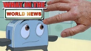 TOASTER SEX What in the World News [upl. by Erdna254]