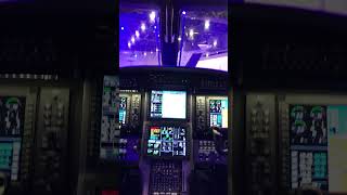 Pilatus PC12 Cockpit [upl. by Salkin468]