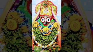 Solo kola Jagannath dhandha batao Jagannath Swami jay jay jaya Vivekanand⭕❗⭕🙏🌺🔔🌟🛐711240910 [upl. by Aizek869]