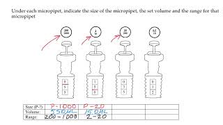 Micropipette reading and setting quiz [upl. by Althea497]