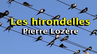 Les hirondelles de Pierre Lozère [upl. by Yhtomiht]