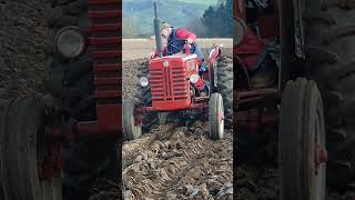 McCormick International B275 tractor at the Southwell Ploughing Match  Saturday 9th March 2024 [upl. by Lenard]