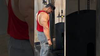 The Ultimate Guide to Strengthening Your triceps 💪 youtubeshorts bodybuilding fitness triceps [upl. by Ewold]