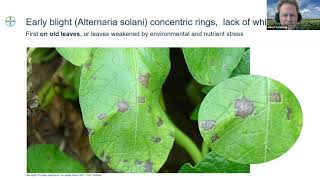 Webinar 18  Phytophthora Infestans Late Blight  Albert Schirring [upl. by Arihday273]