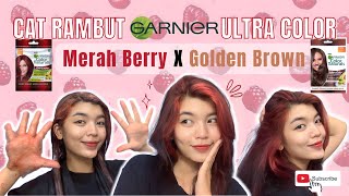 CAT RAMBUT GARNIER GOLDEN BROWN MIX MERAH BERRY  NO BLEACHING [upl. by Ennaillij]