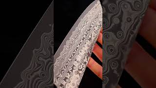 Santoku SG2 Carbon Steel Japanese Kitchen Knife [upl. by Inalaehak]