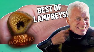 The BEST OF LAMPREYS  COMPILATION  River Monsters [upl. by Aliwt]