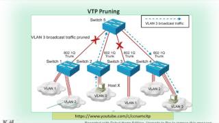 VTP Pruning  What is the Concept of VTP Pruning  VTP Pruning Operation  HIndi  CCNA [upl. by Hahcim]