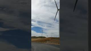 Wind Farm in newzealand [upl. by Adnamaa]