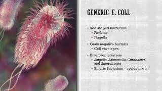 E Coli 0157H7 Presentation [upl. by Novonod]